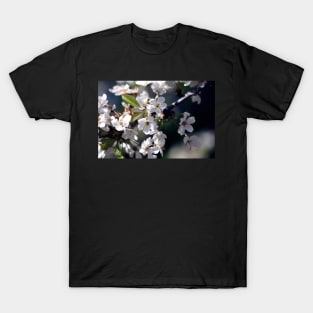 White Flowers Photo T-Shirt